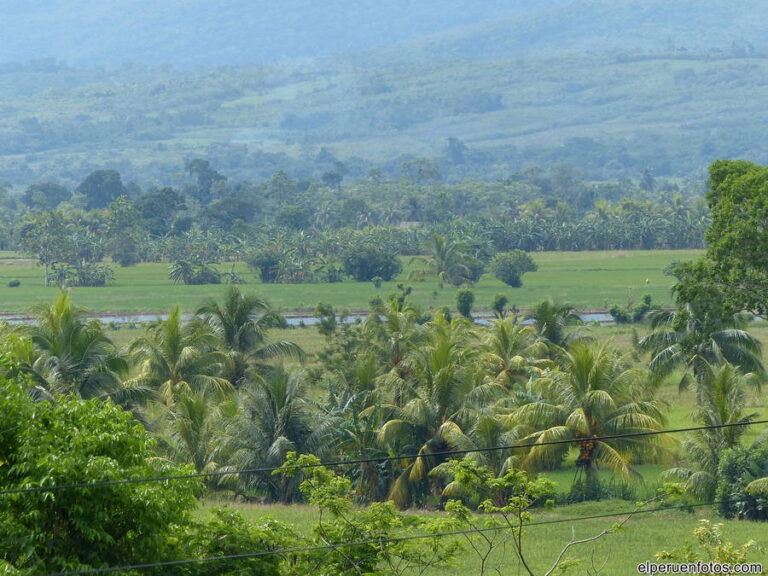 tarapoto 014